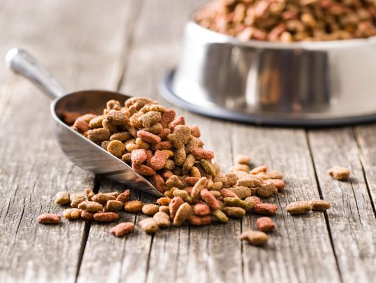 Pet food pantry continues development in Battle Mountain Article upload date: 06/11/2026